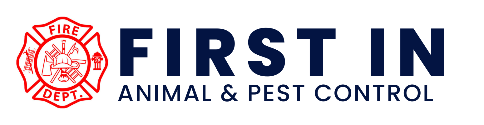 pest control service in north dallas texas rodent specialists