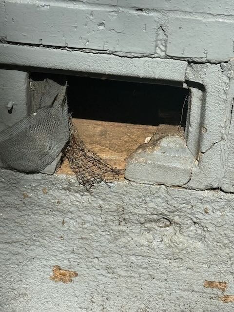 Rodent Exclusion University Park Gallery 8